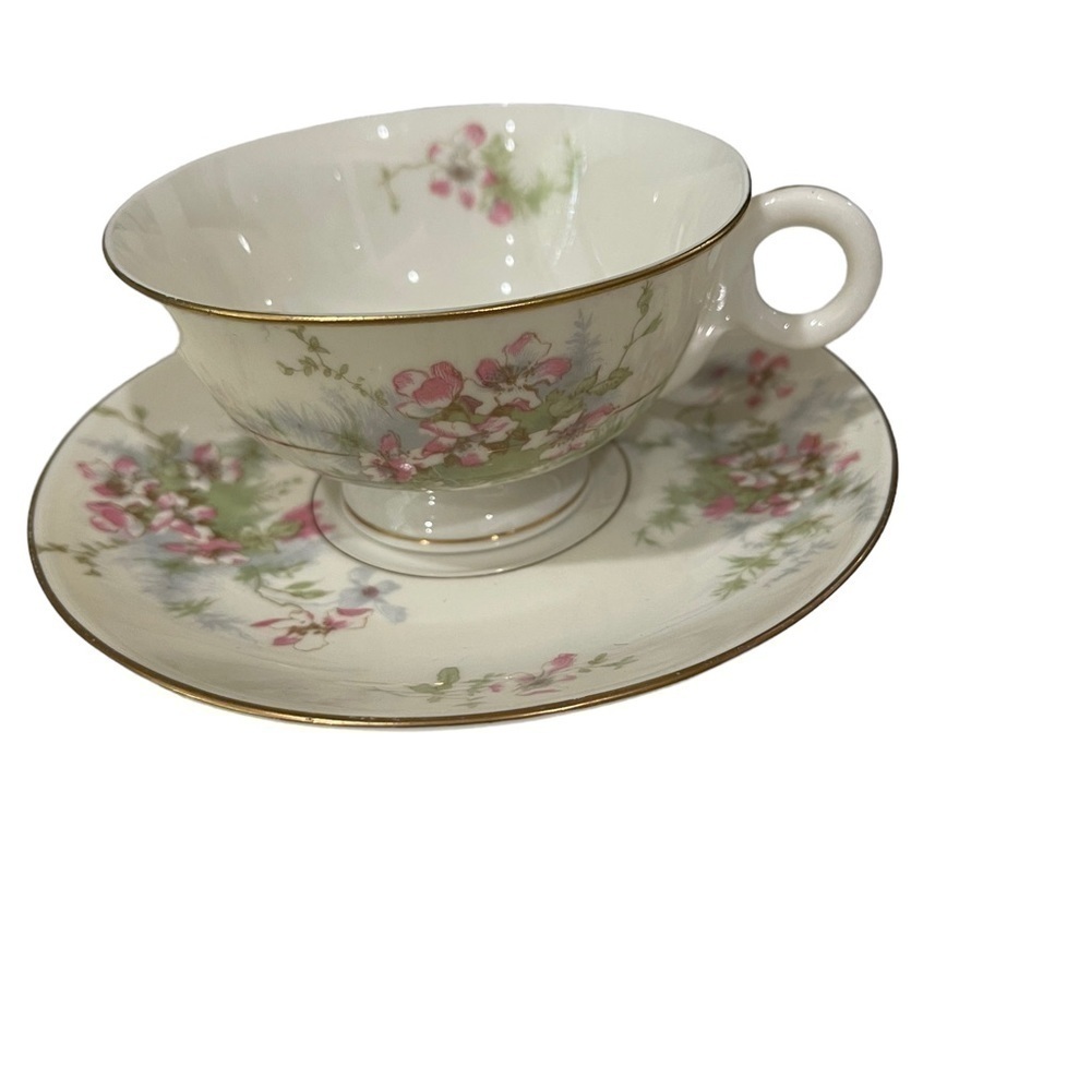 Theodore Haviland, Apple Blossom, Teacup and Saucer, Pink Blossoms.